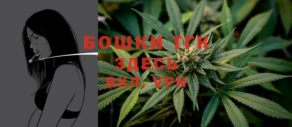 прущая мука Няндома