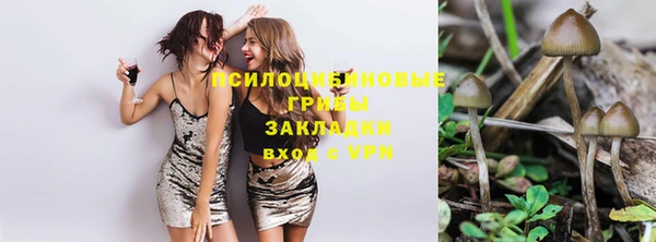 стафф Нягань